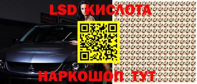 дурь Сланцы