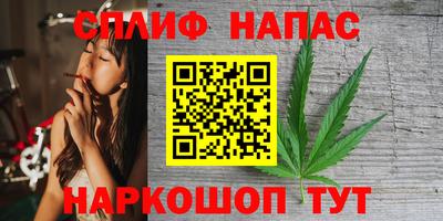 дурь Сланцы