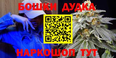 дурь Сланцы
