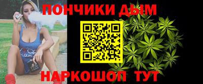 дурь Сланцы